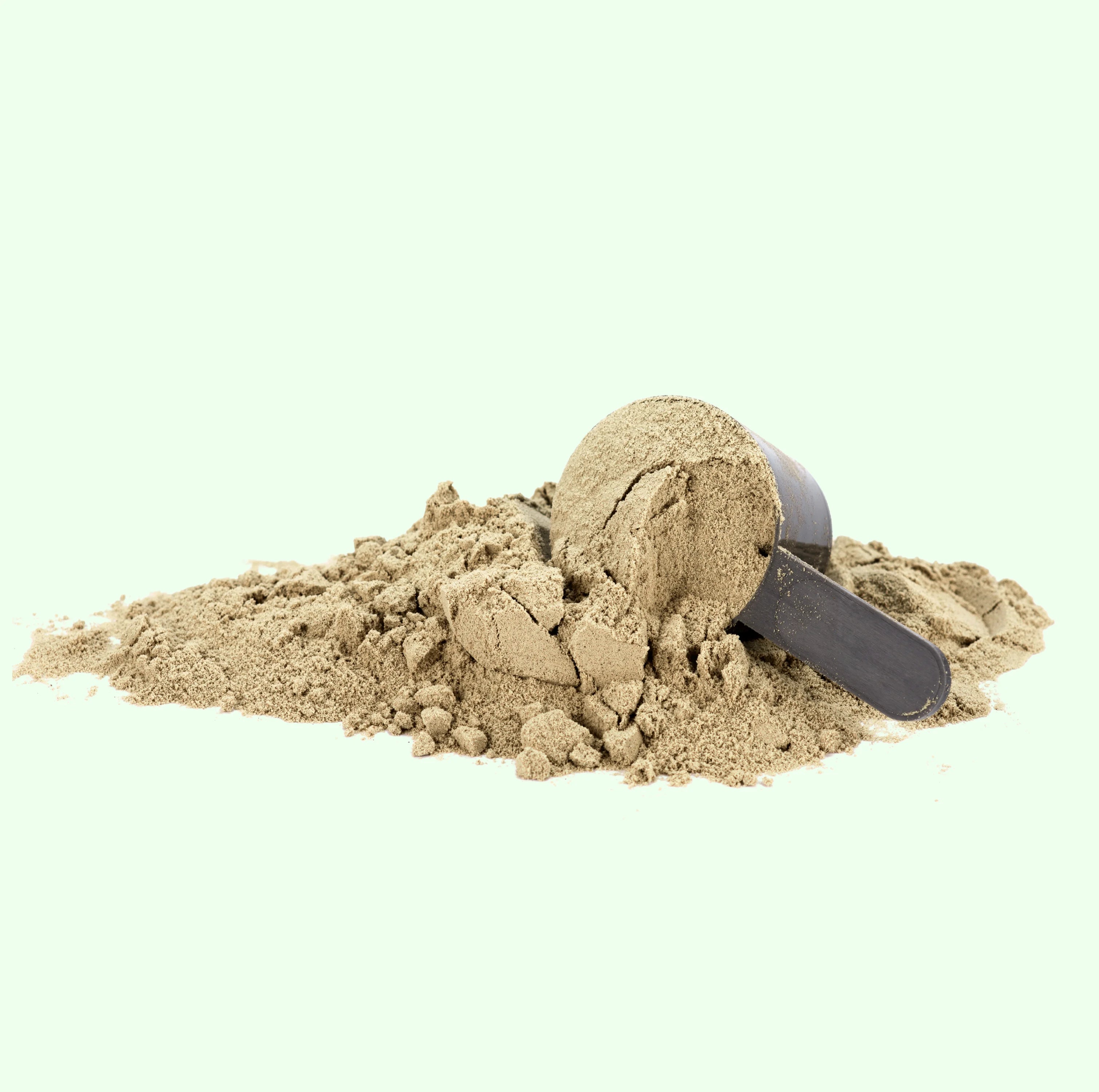 Advanced 100% Whey Protein Isolate (Vanilla)